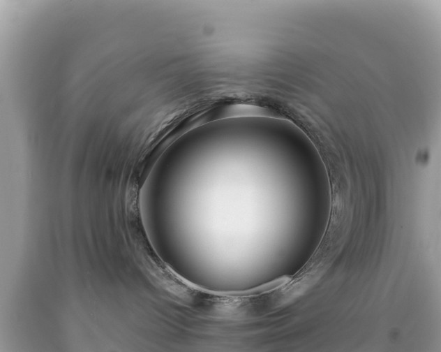 X0000092020096200709131607