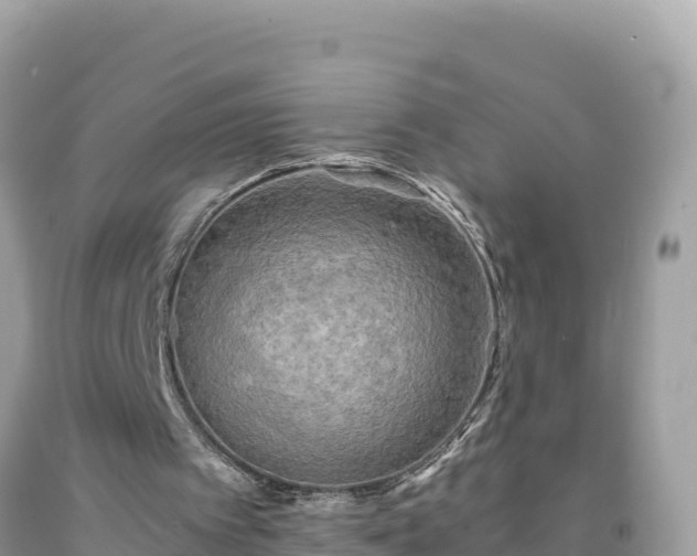 X0000092020097200709131606