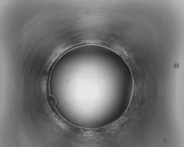 X0000092020098200709131606