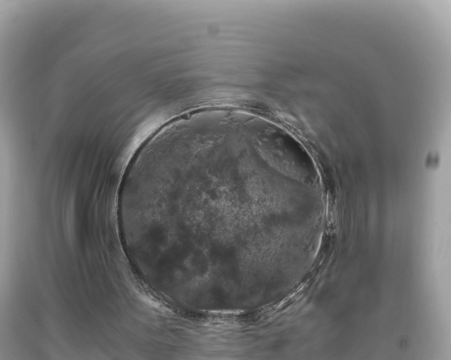 X0000092020099200709131606