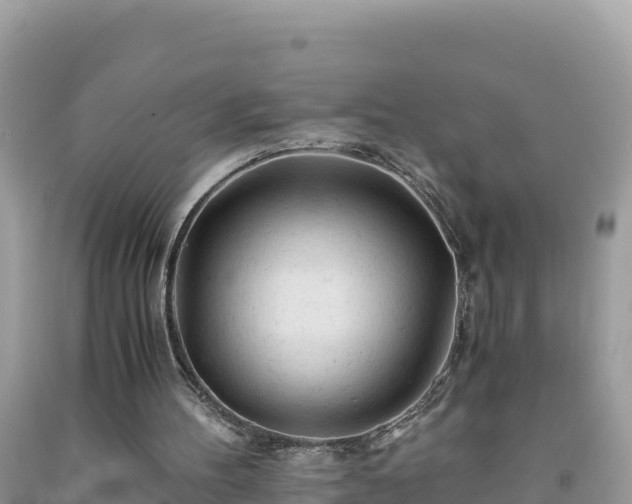 X0000092020100200709131606