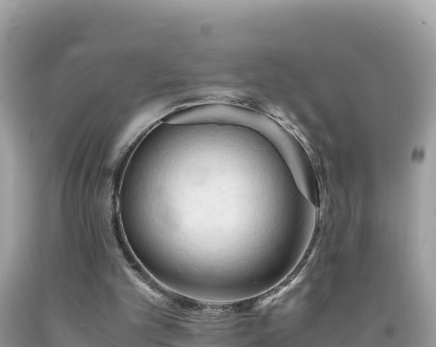 X0000092020101200709131606