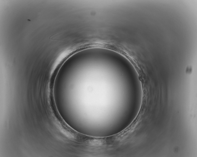 X0000092020102200709131606