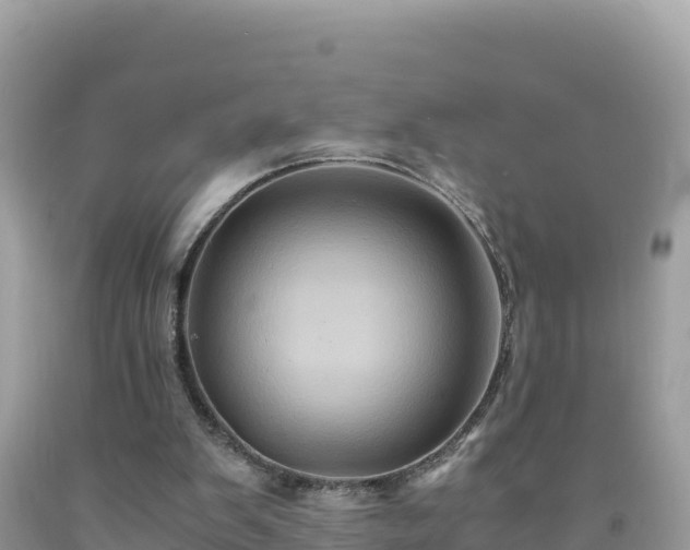 X0000092020103200709131606