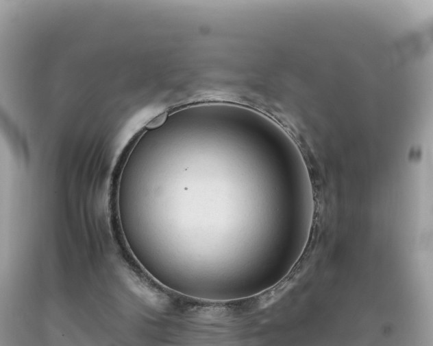 X0000092020104200709131606