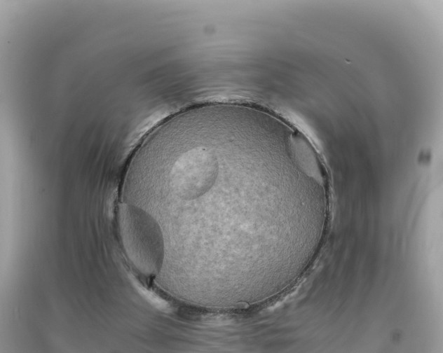 X0000092020105200709131606