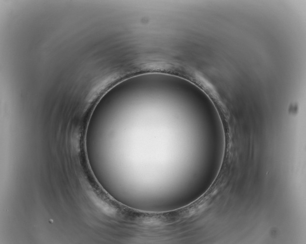 X0000092020106200709131606