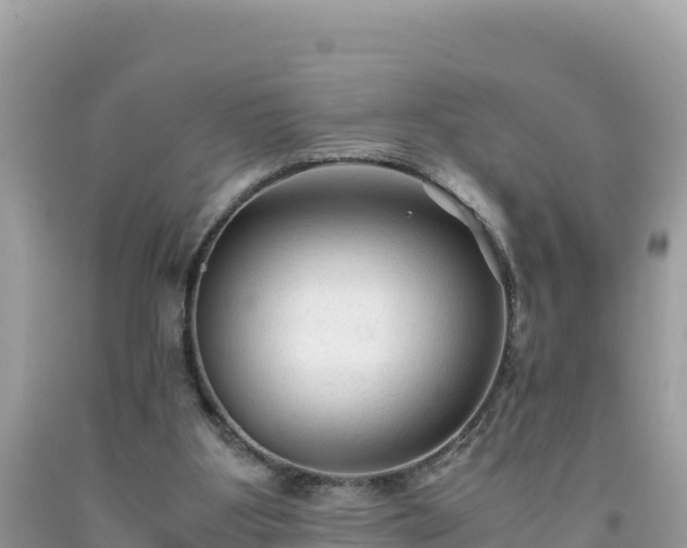 X0000092020107200709131606