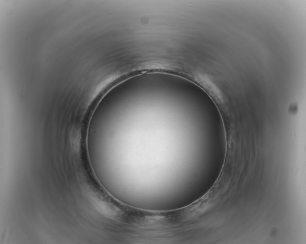 X0000092020108200709131606