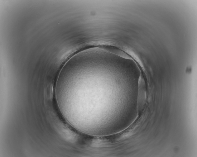 X0000092020109200709131606