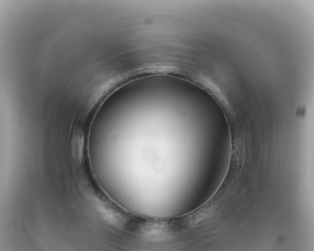 X0000092020110200709131606