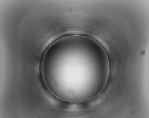 X0000092020111200709131606