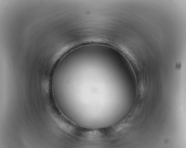 X0000092020112200709131606