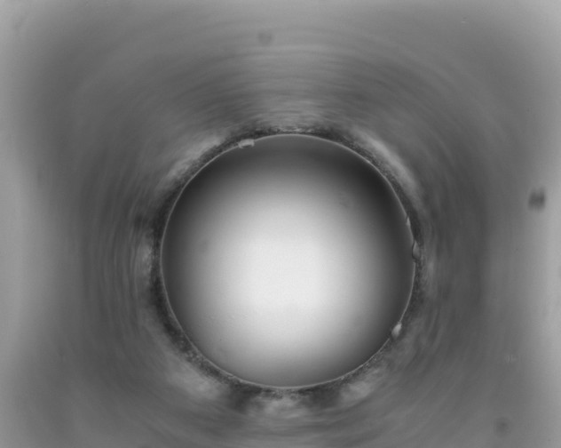 X0000092020113200709131606