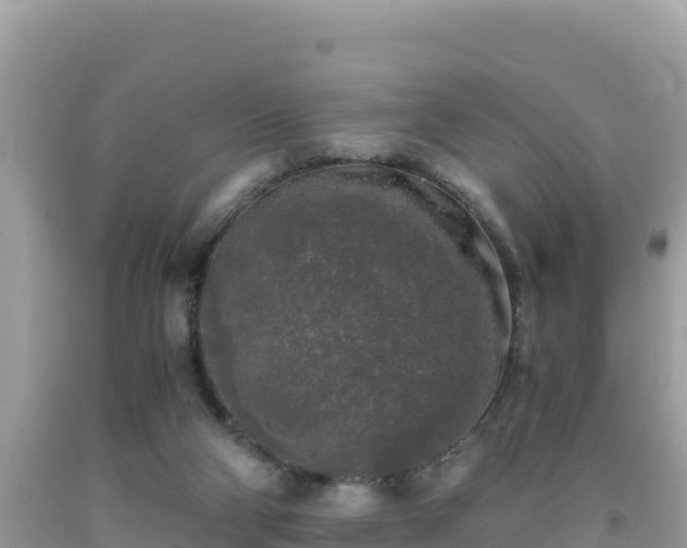 X0000092020114200709131606