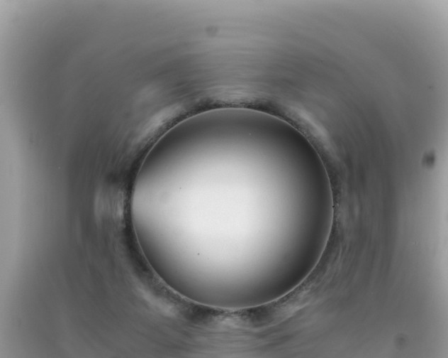 X0000092020115200709131606