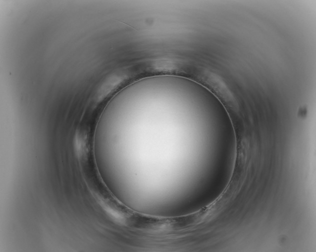 X0000092020116200709131606