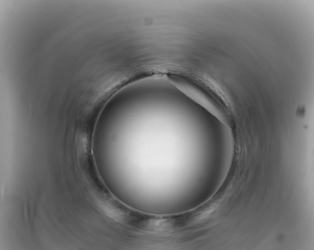 X0000092020117200709131606