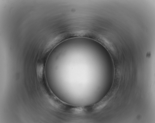 X0000092020118200709131606