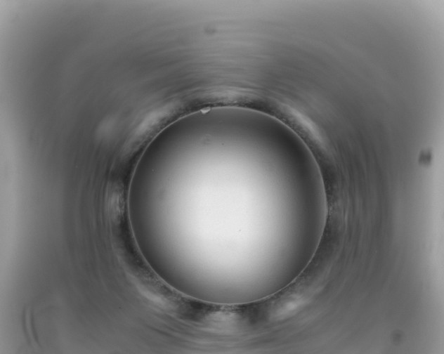 X0000092020119200709131606