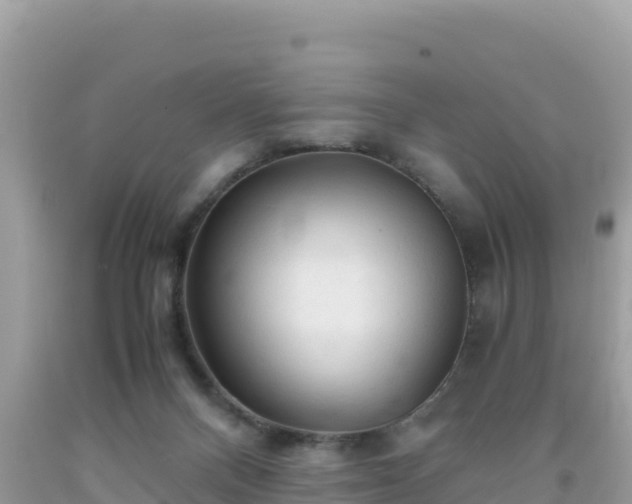 X0000092020120200709131606