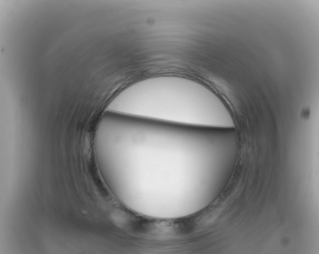 X0000092020121200709131606