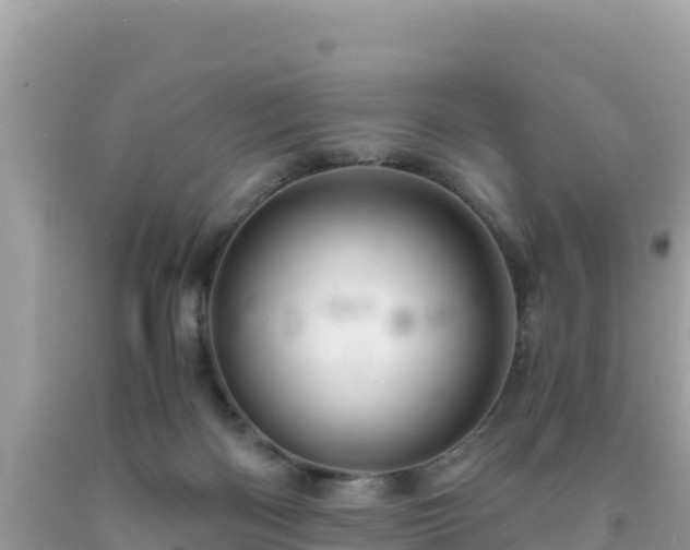 X0000092020122200709131606