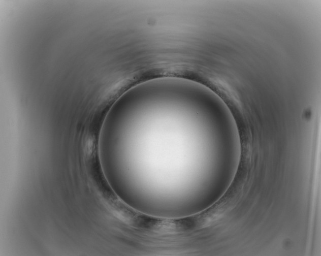 X0000092020123200709131606