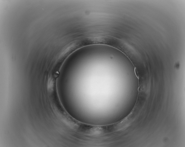 X0000092020124200709131606