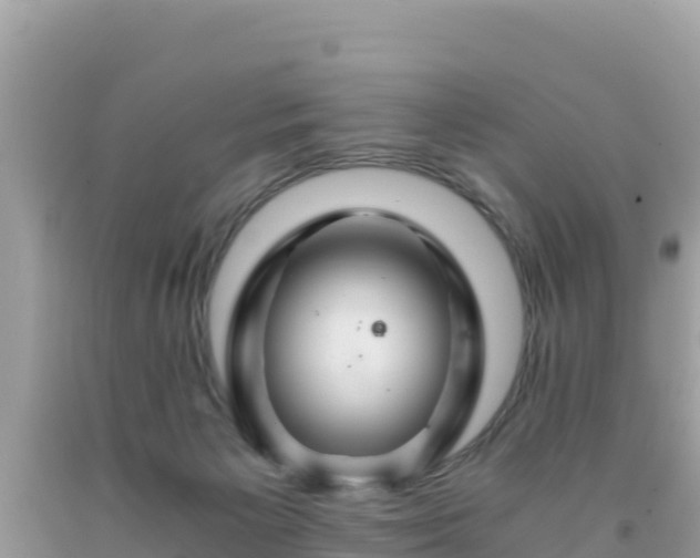 X0000092020125200709131606