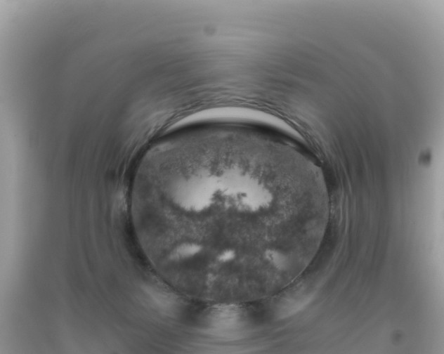 X0000092020127200709131606