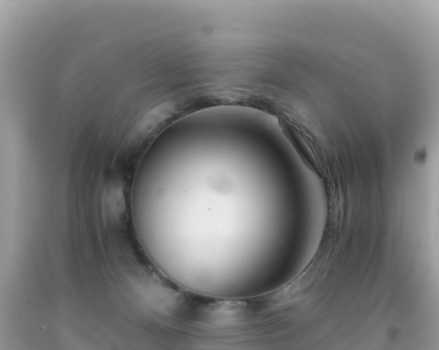 X0000092020128200709131606