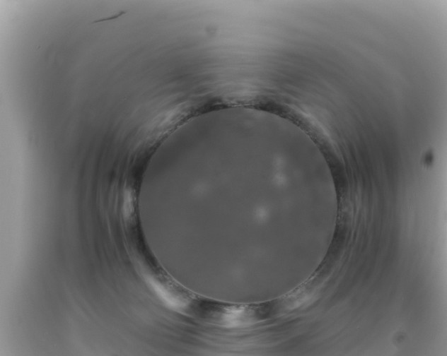 X0000092020130200709131606