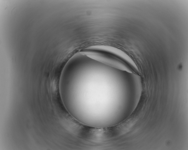 X0000092020131200709131606