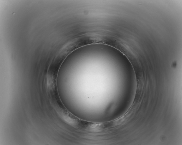 X0000092020136200709131605