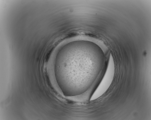 X0000092020137200709131605