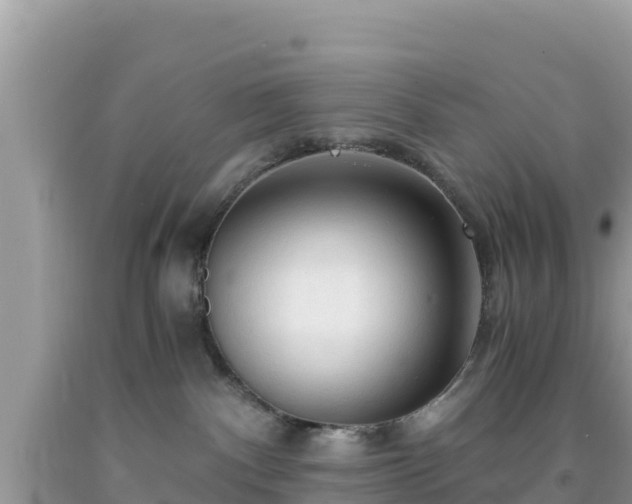 X0000092020140200709131605