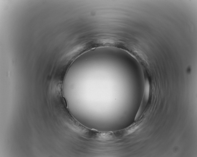 X0000092020141200709131605