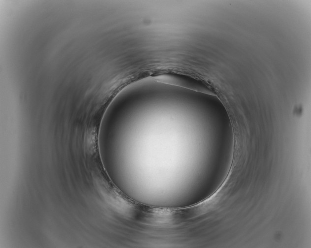 X0000092020144200709131605