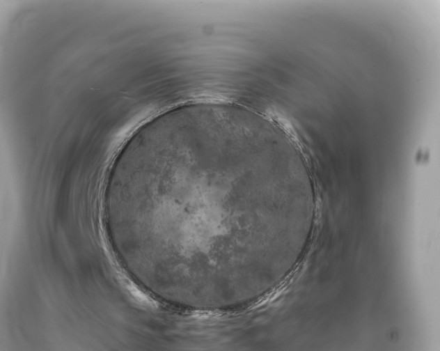 X0000092020145200709131605