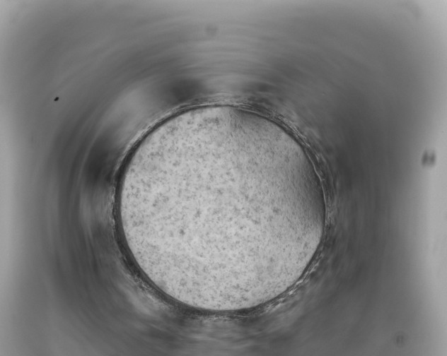 X0000092020146200709131605