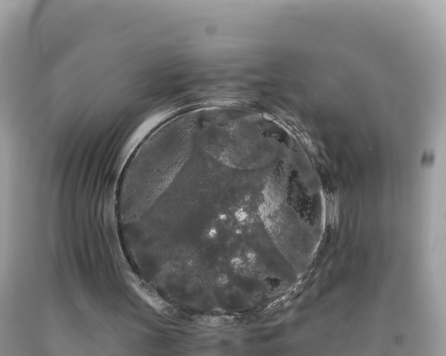 X0000092020147200709131605