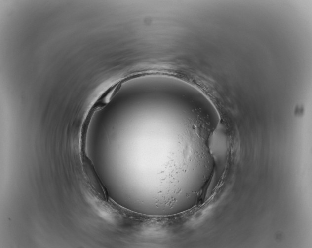 X0000092020148200709131605