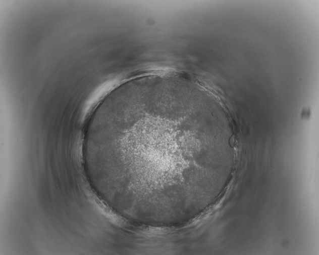 X0000092020149200709131605