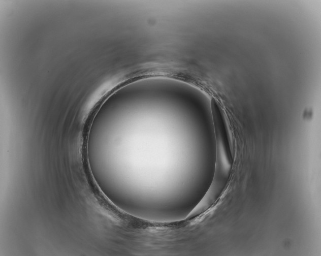 X0000092020150200709131605