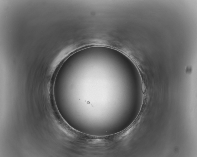 X0000092020151200709131605