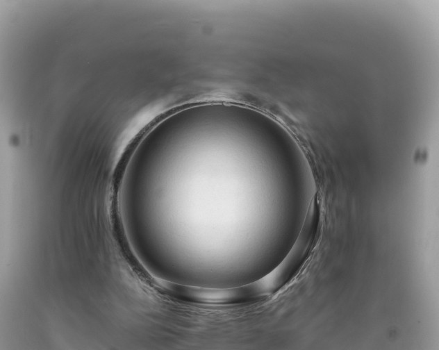 X0000092020152200709131605