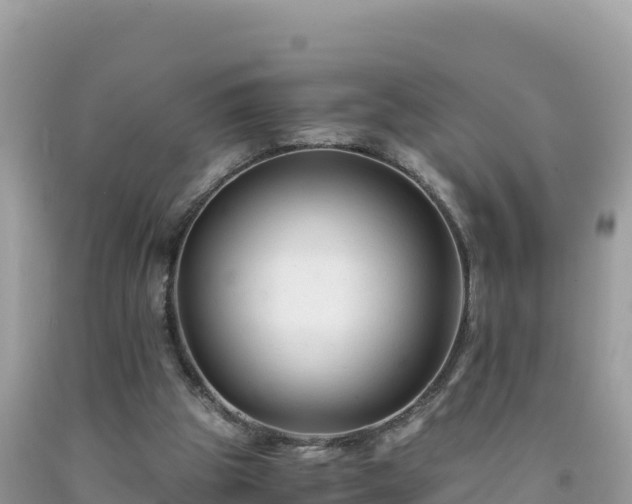 X0000092020153200709131605