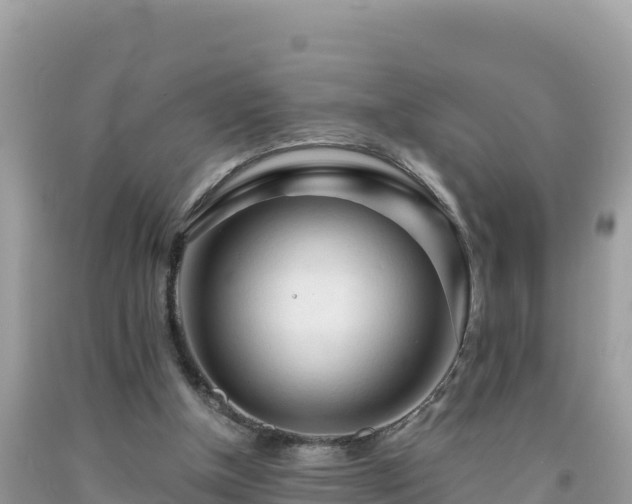 X0000092020154200709131605