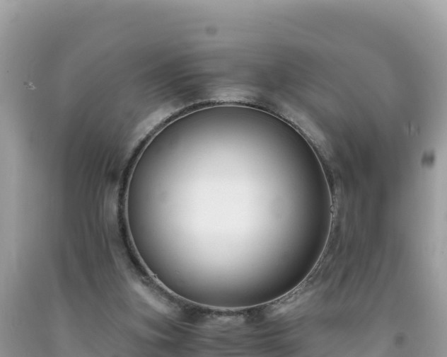 X0000092020155200709131605